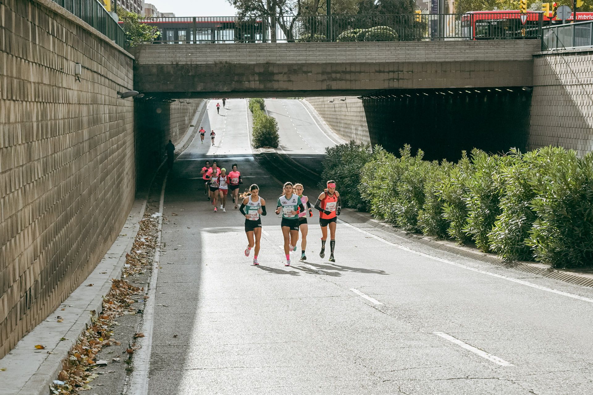 Las mejores fotos de la Carrera de la Mujer Central Lechera Asturiana Zaragoza 2021 (CARRERA)
