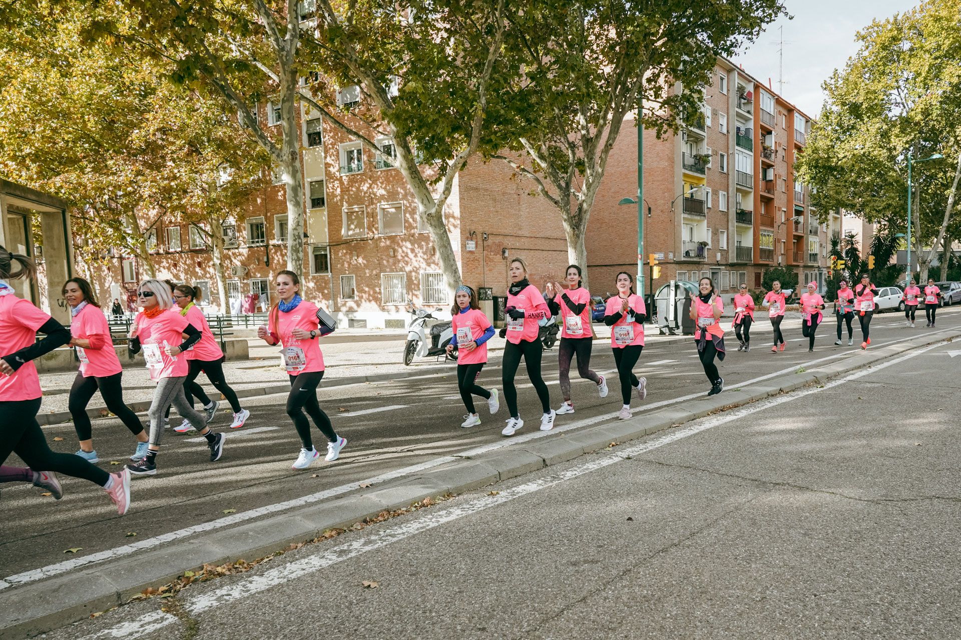 Las mejores fotos de la Carrera de la Mujer Central Lechera Asturiana Zaragoza 2021 (CARRERA)