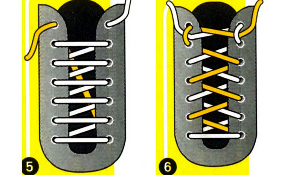 5 y 6
