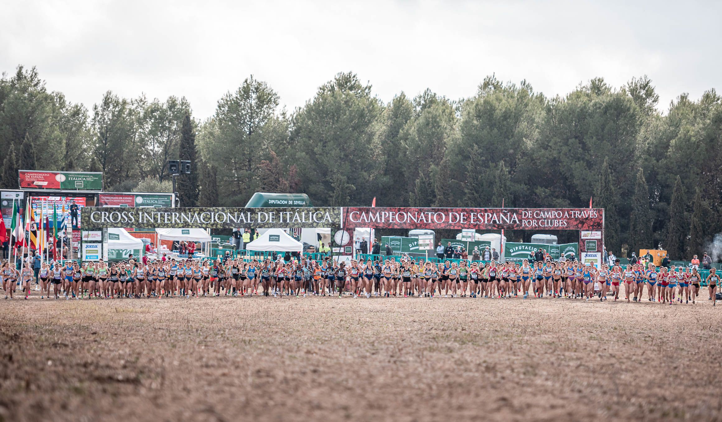Las mejores imágenes del Cross Internacional de Itálica. Las mejores imágenes del Cross Internacional de Itálica.