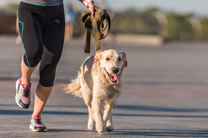 Claves para empezar a salir a correr con tu perro