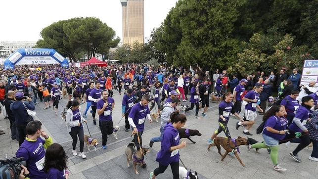 Vuelve el Perrotón, la carrera solidaria por la defensa de los animales de compañía