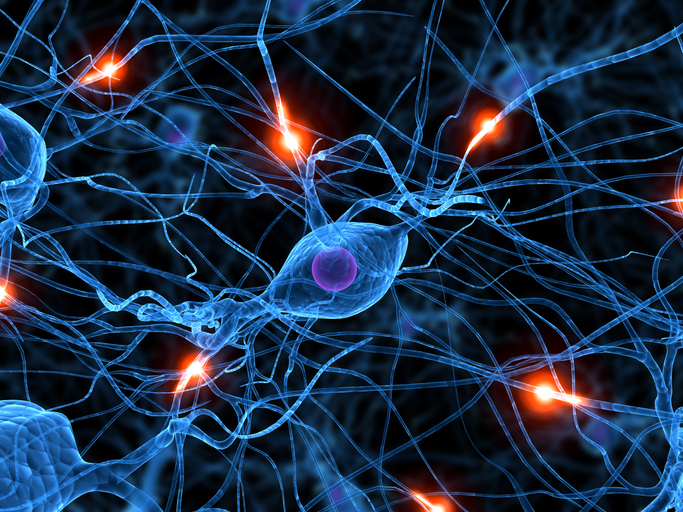 Conoce una nueva forma de recuperar lesiones: la Neuromodulación Funcional Percutánea Conoce una nueva forma de recuperar lesiones: la Neuromodulación Funcional Percutánea